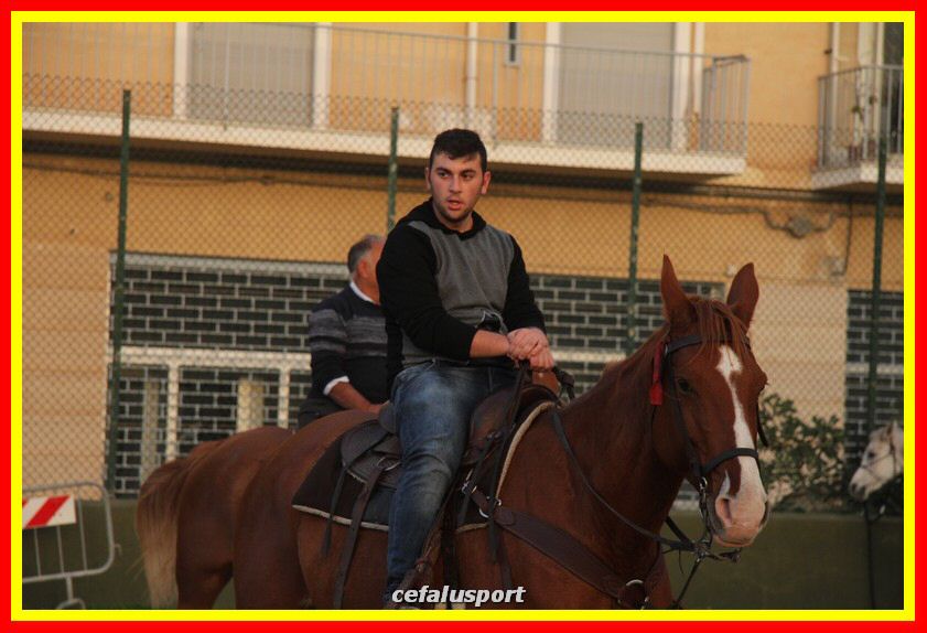 161106 equestre 096_tn.jpg